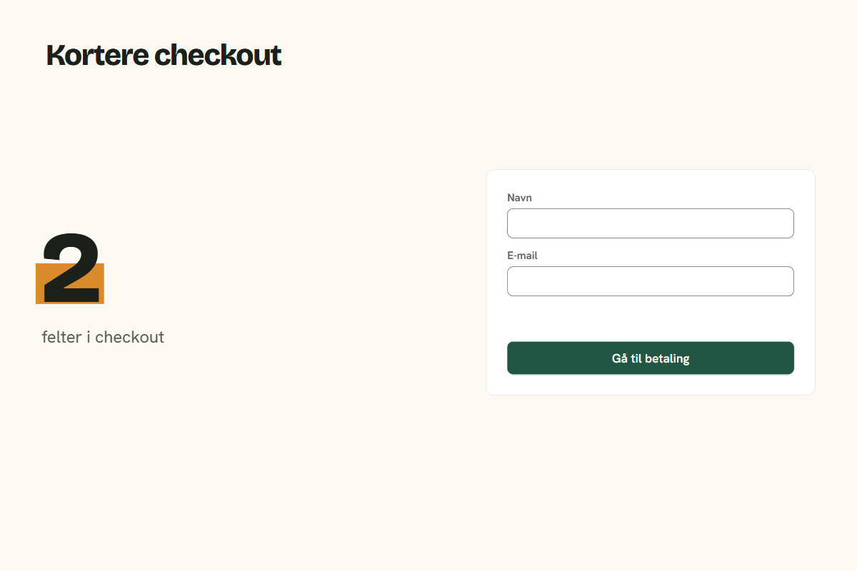 Et købsskema med kun navn og e-mail tilbage, og tallet 2 felter i checkout