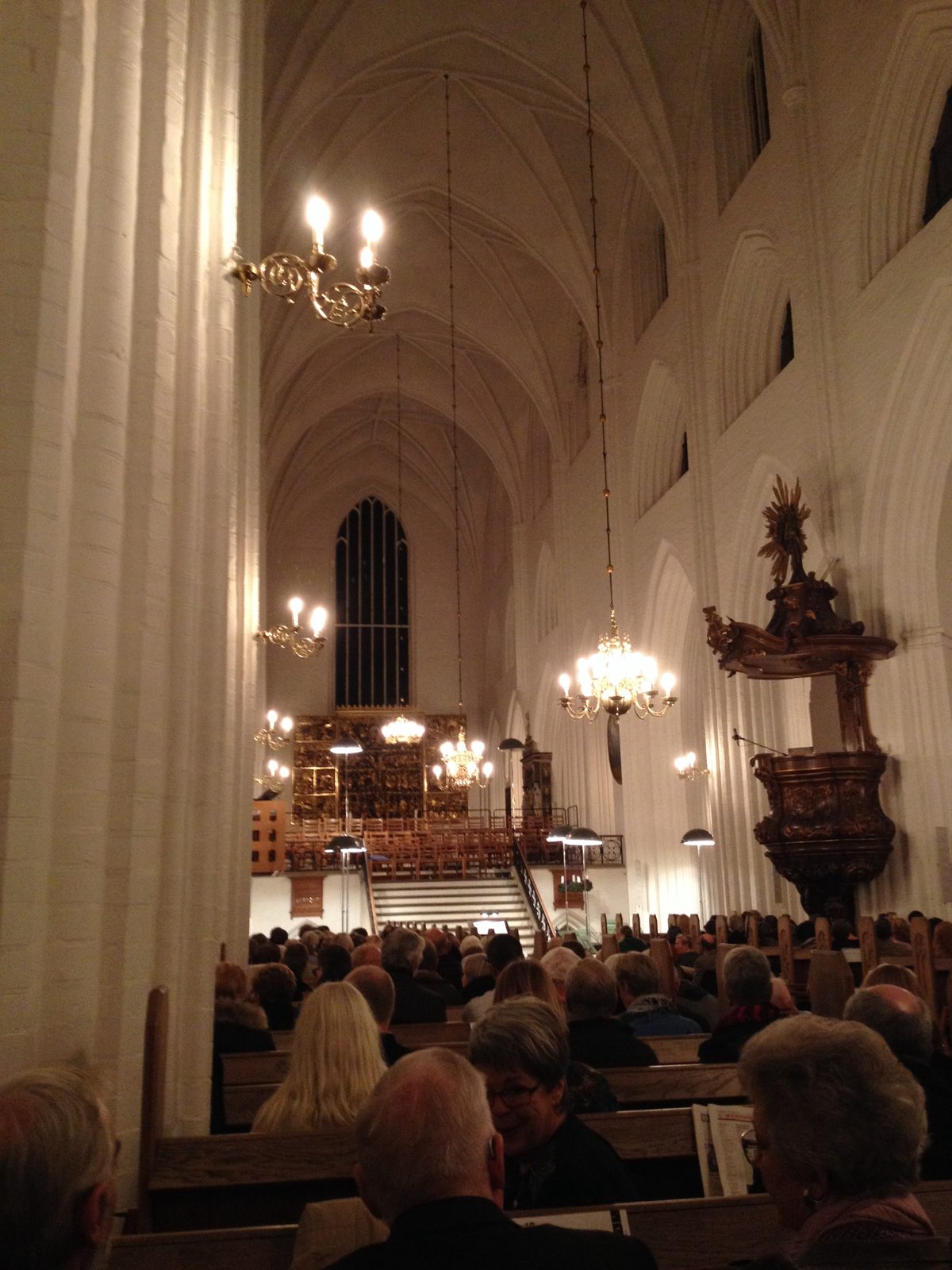 Julekoncert i Odense Domkirke